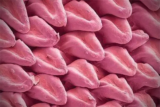 阴暗地下室里的罐子，装满了人体部位器官...