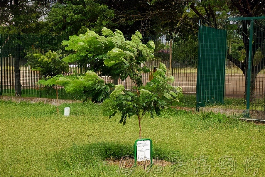 四个特色工业旅游为您带来工业旅游新玩法
