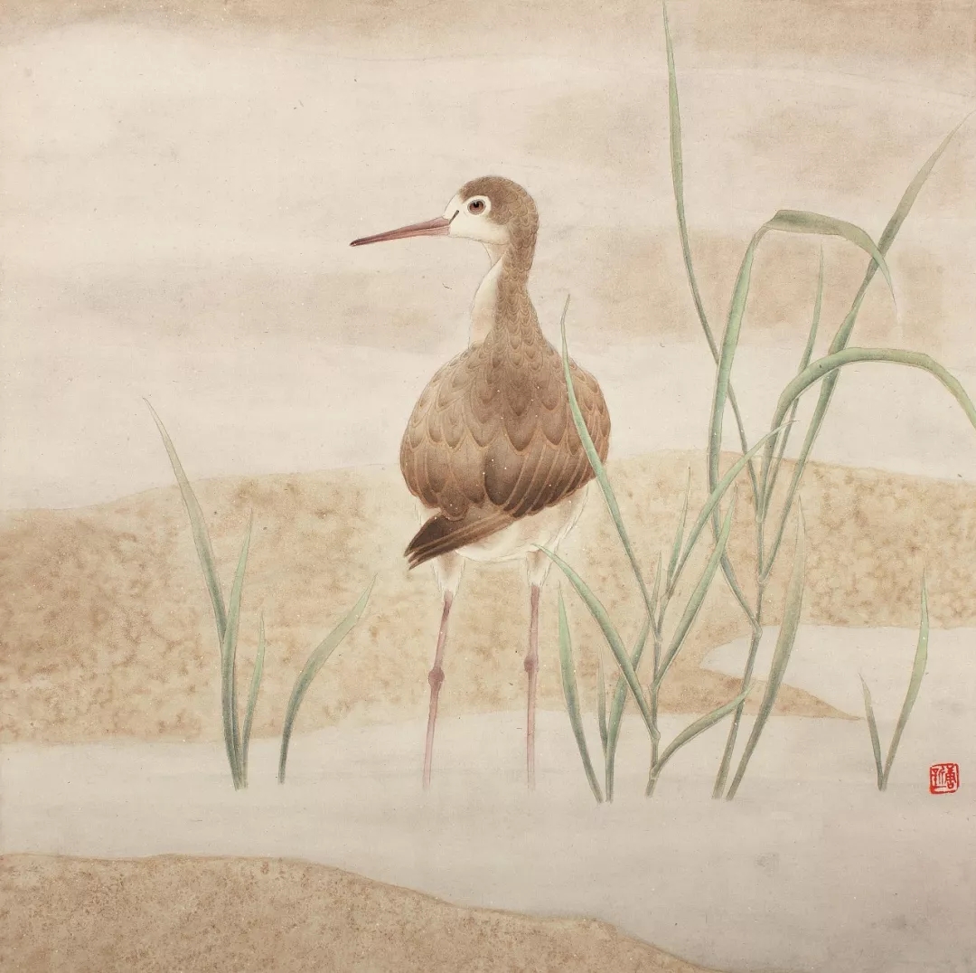 Painter Tang Xinyi's Meticulous Flower And Bird Painting Works - Inews