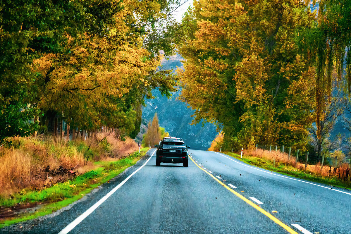 烽烟起，盈利如浪淘沙，多军势如破竹再出发