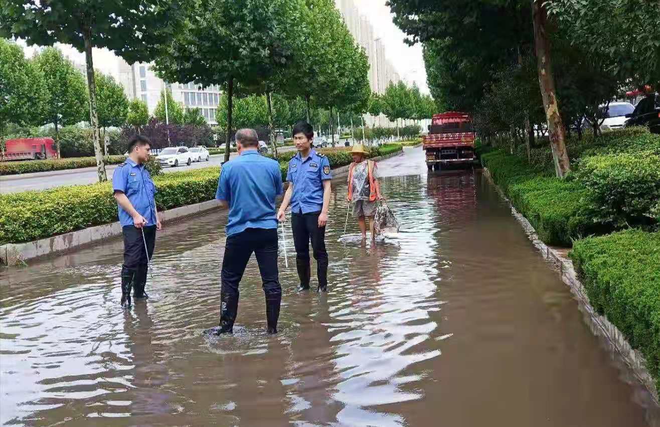 临沭县综合行政执法局全面启动城市防汛工作守护市民出行安全