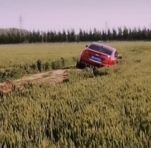 救援车来了，救援救援车的救援车也来了！网友