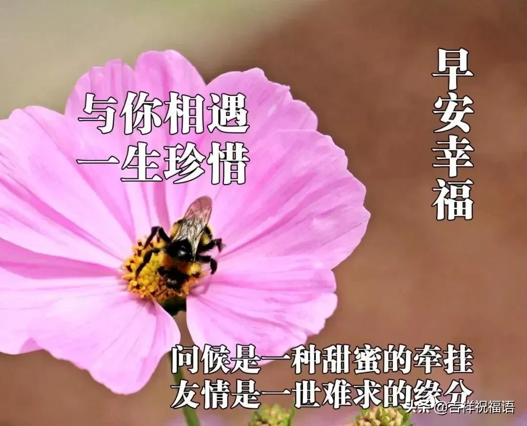 早晨好唯美图 早上好的图片表情带问候句子图片