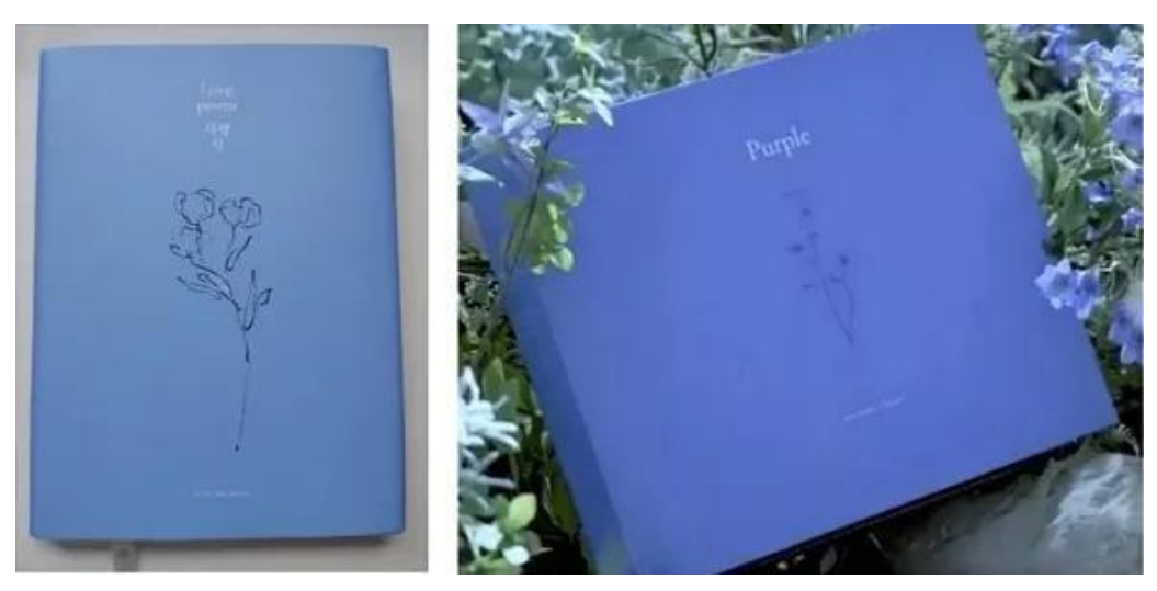 杨紫代言照涉嫌抄袭IU李知恩，网友：这个得问品