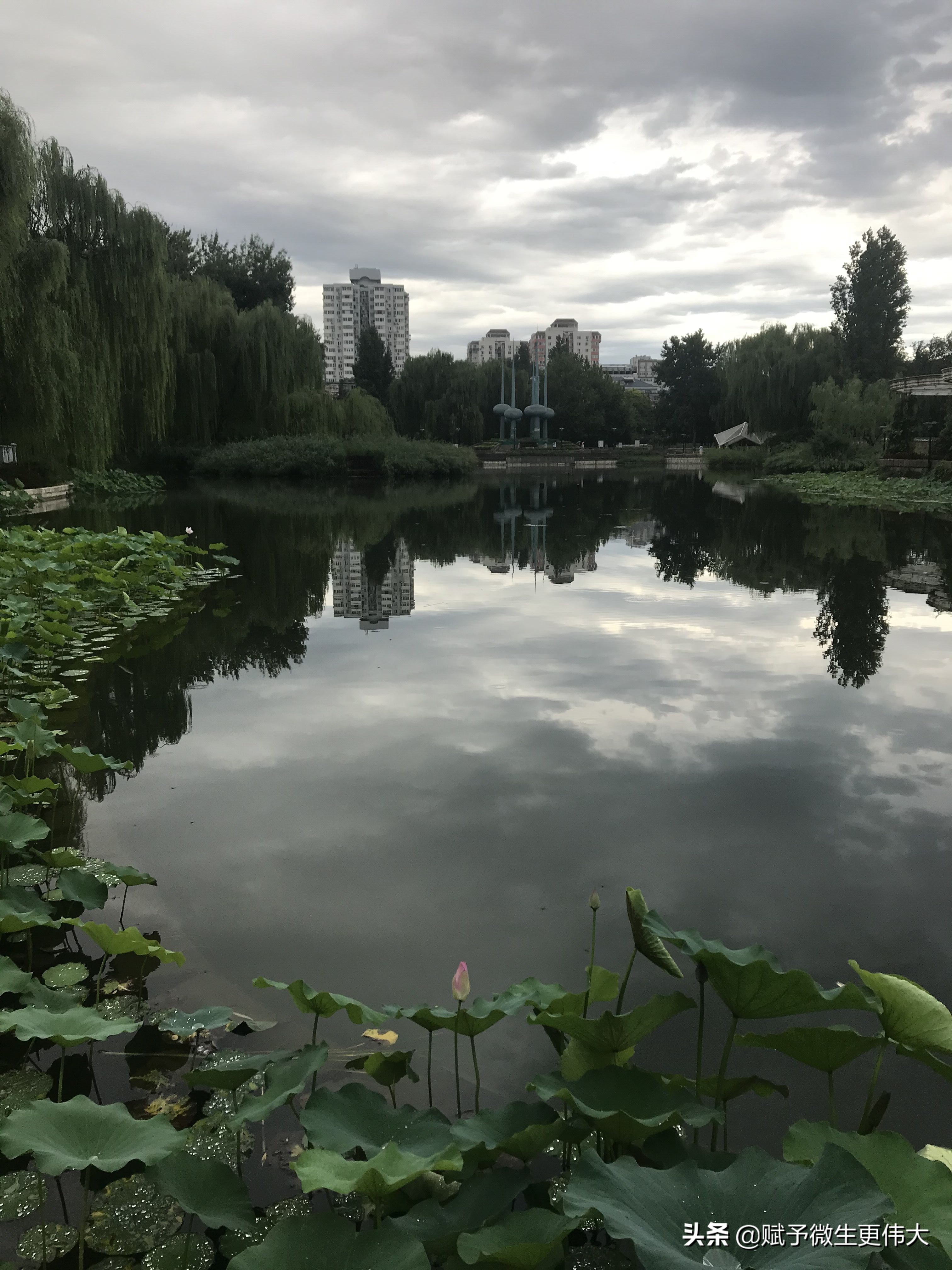 贴雨后——为秋一至，潇雨将凉