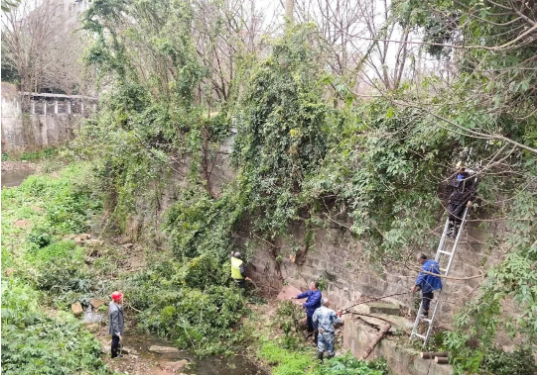 为了实现“水清、岸绿、景美”的小目标，城管们这样做