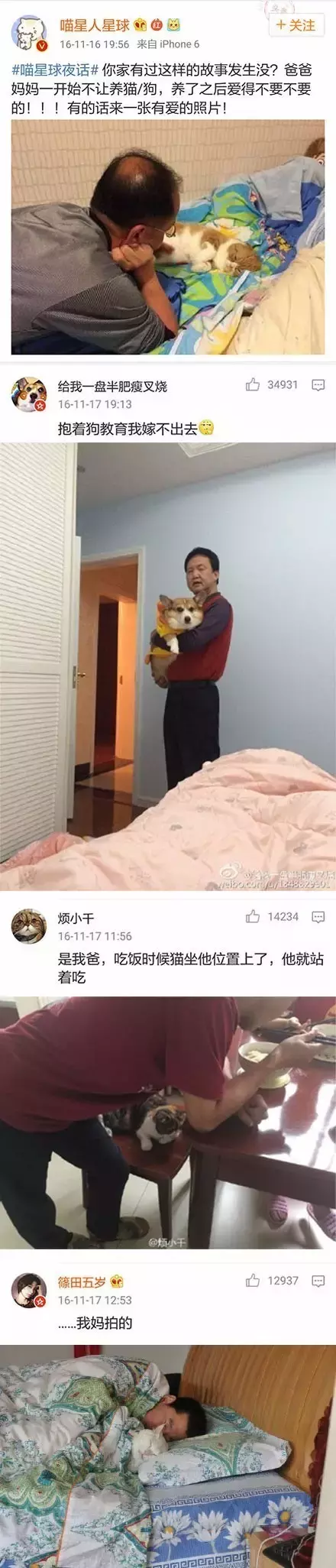 为什么很多父母反对孩子养猫？怎样说服他们？