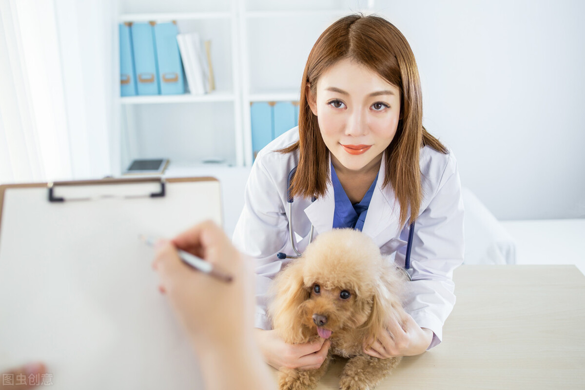 宠物猫狗都会患的呼吸系统疾病&mdash;&mdash;真菌性鼻炎、如何诊断及治疗
