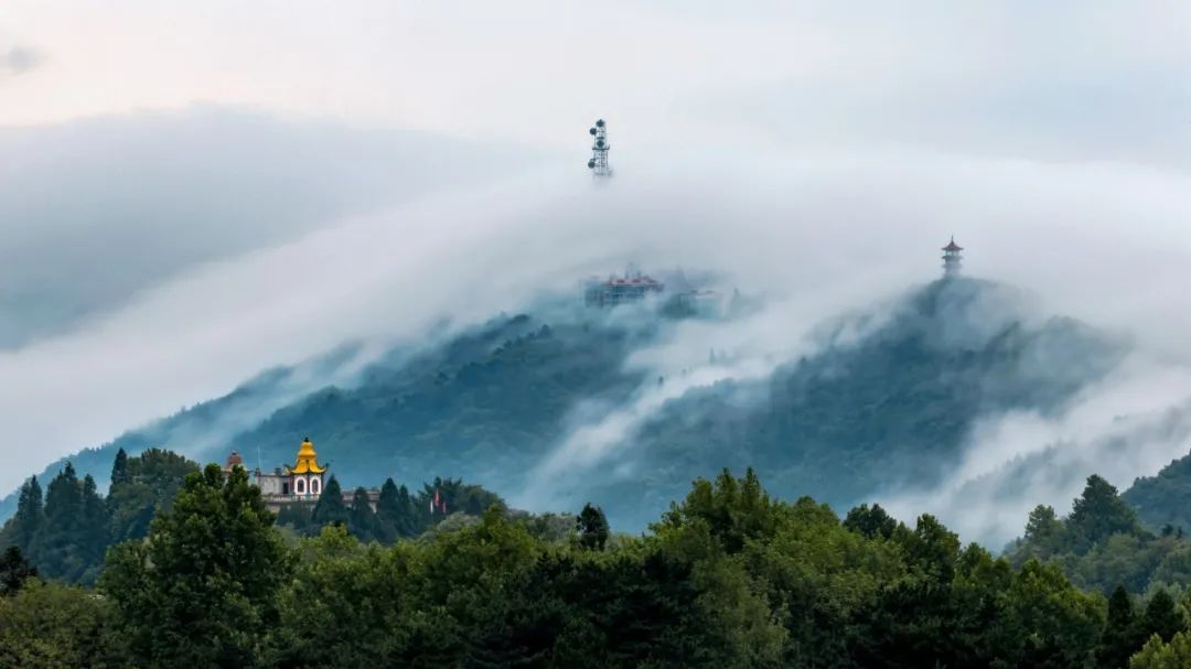 春光明媚，雞公山喜迎千人團隊高峰踏青賞花