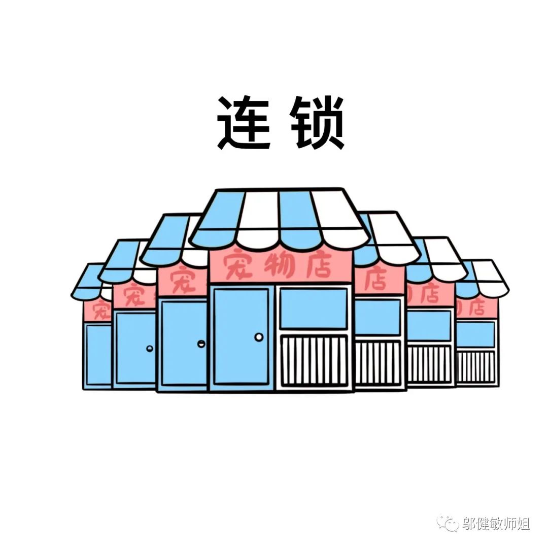 开个宠物店能挣钱吗（带你走进宠物行业真相）