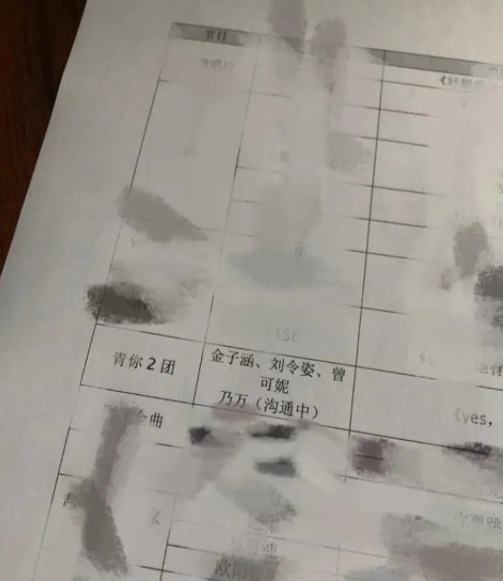 ​知情人士爆料《青你2》将出“二团”，金子涵