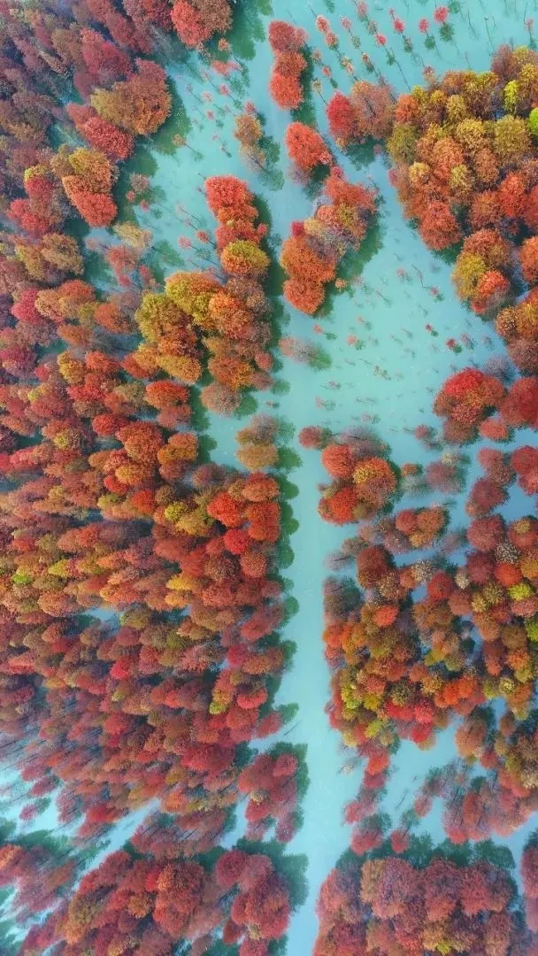 The most beautiful place to travel in November, no strategy and no money, which one do you want to go to?