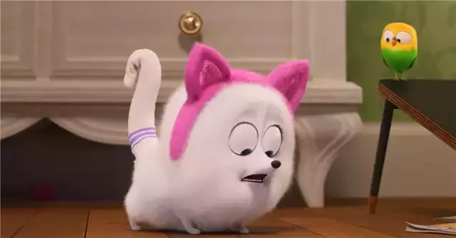 猫奴狗奴的狂欢,《爱宠大机密2》猫狗满天飞