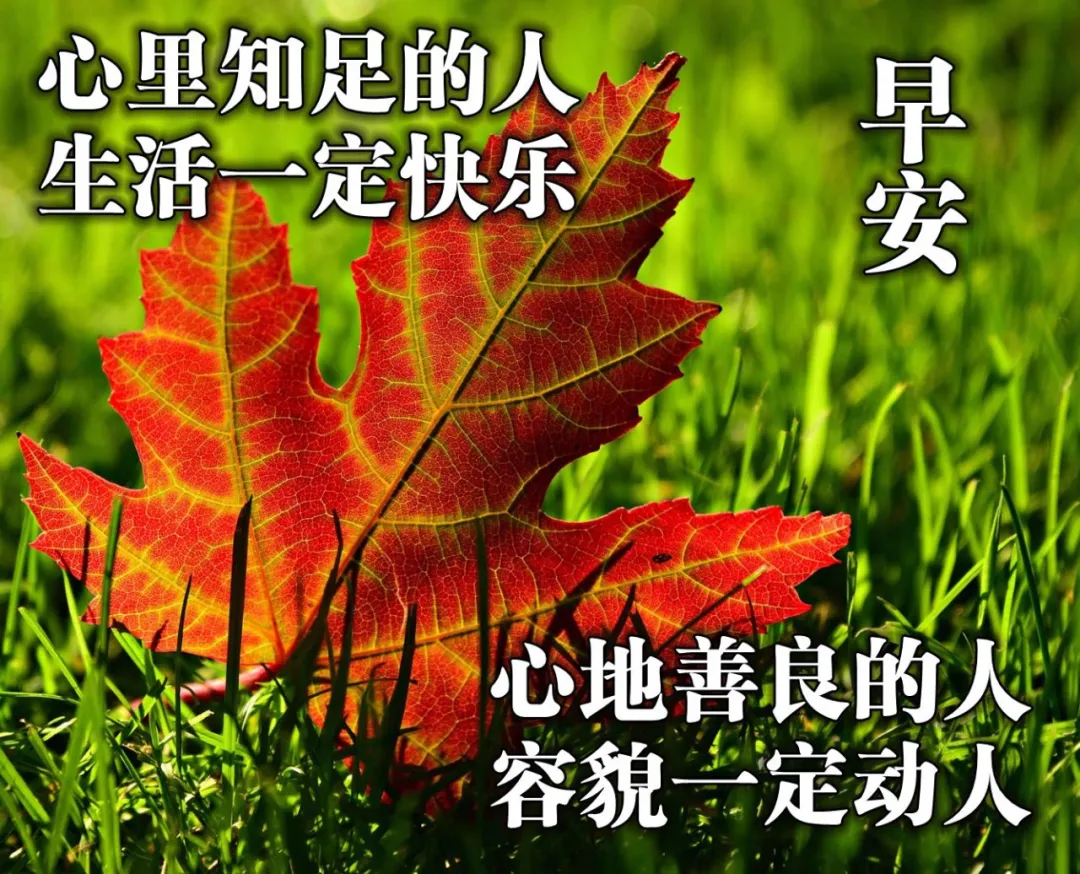 早上好图片加祝福语，早上好表情带问候语，早安图片
