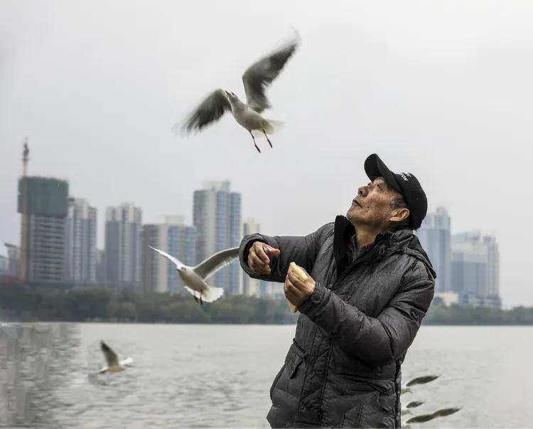 汉中《海鸥之家》呼吁：请带一个馒头来观赏可爱小精灵—红嘴鸥！