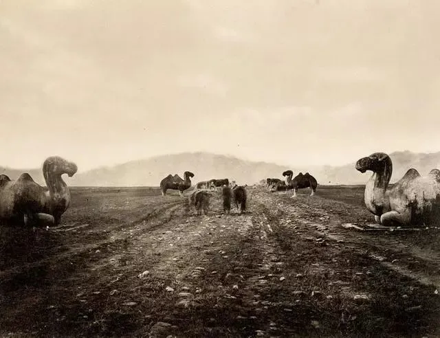 清末老照片：图一观象台有些破败，图四为颐和园镇水铜牛