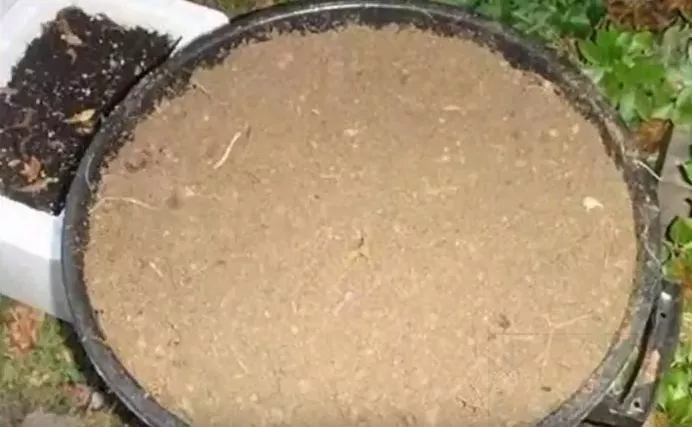 好百邻家政阿姨教你用香蕉皮养花，叶子都能绿出水来