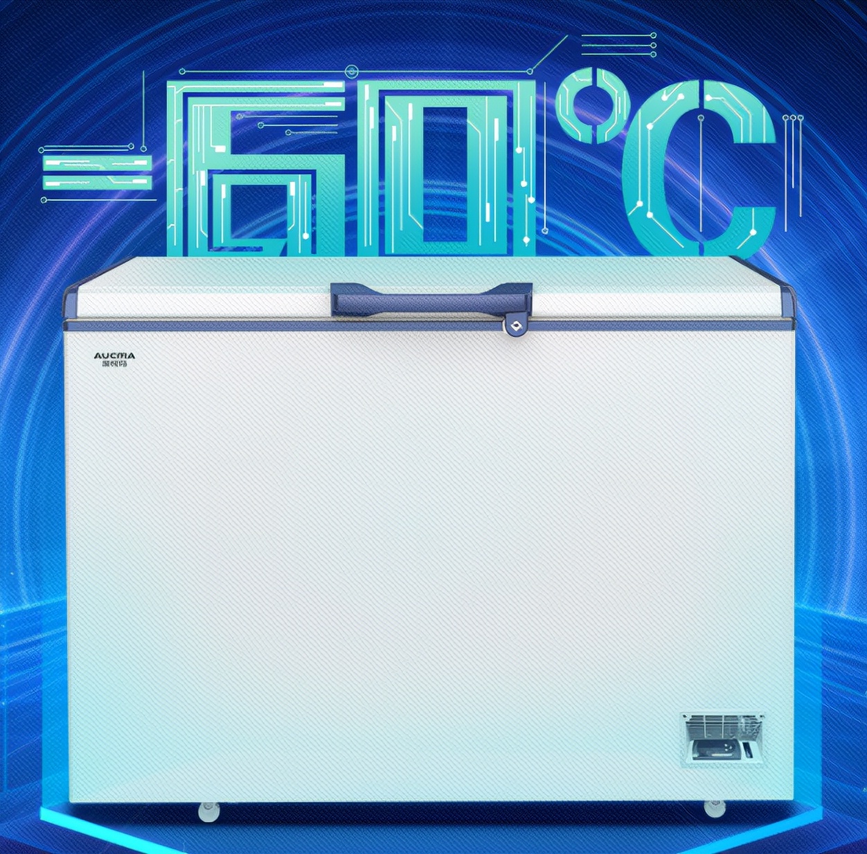 Minus 60 degrees ultra-low temperature quick-freezing freezer-long-term ...
