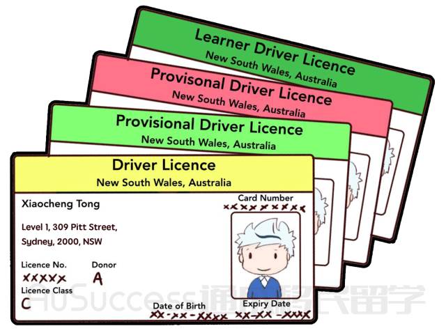 【通小成条漫】大步迈向老司机！考取澳洲驾照详细说明！