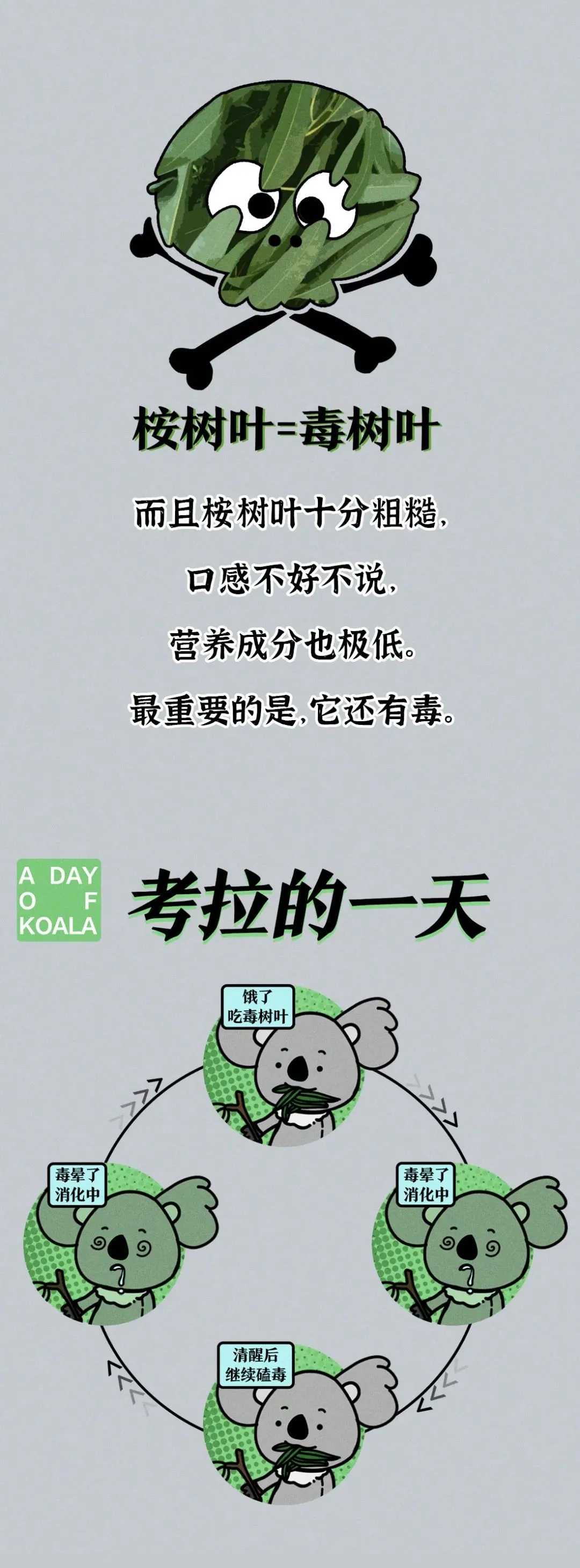吃屎長大，一生嗑“毒”，這么萌的動物卻這么慘？