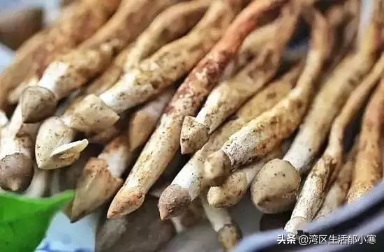 卖成700元/斤！最近很多东莞人连夜去找它！你吃