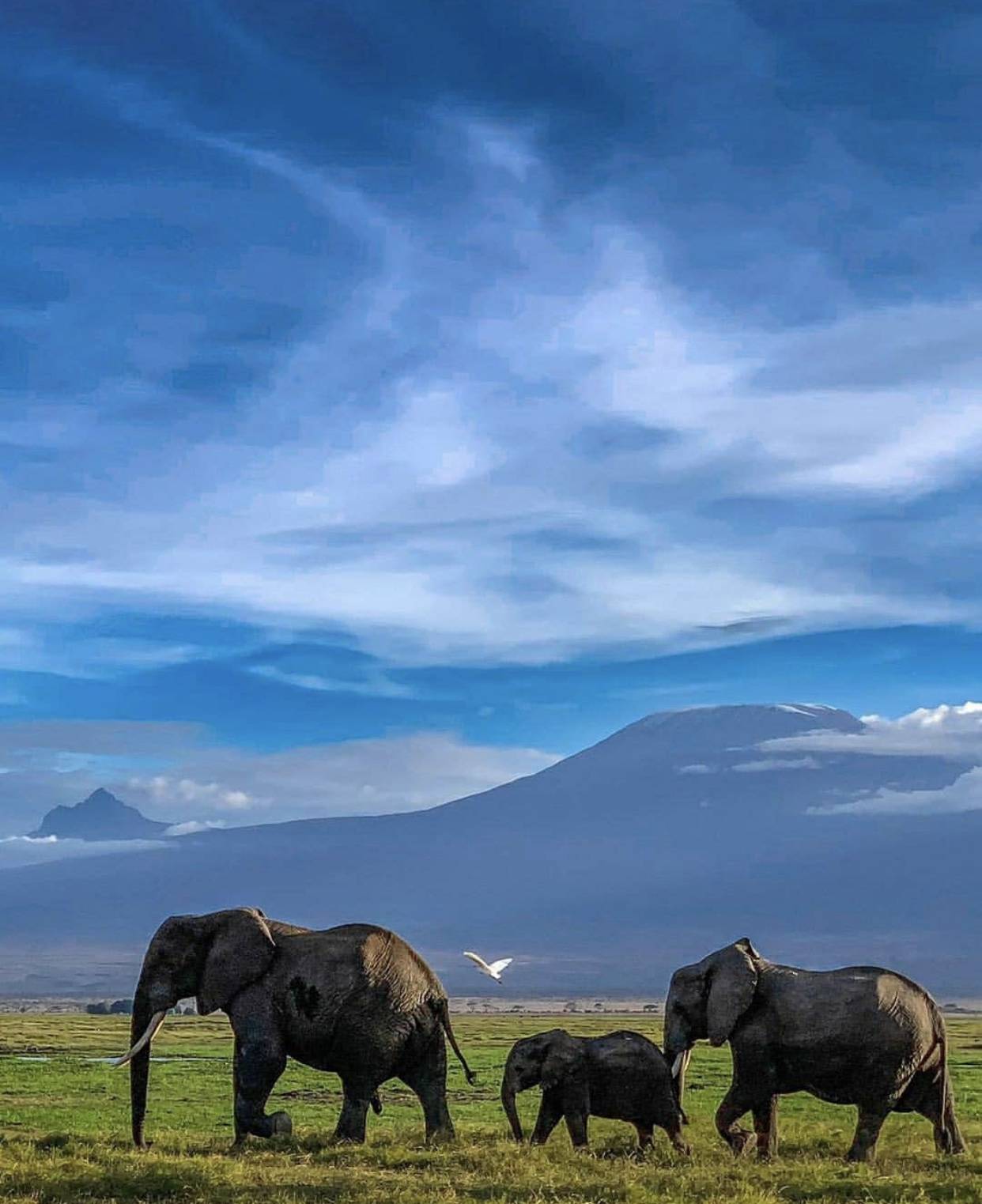 從這些照片裏，感受到了生命的溫度