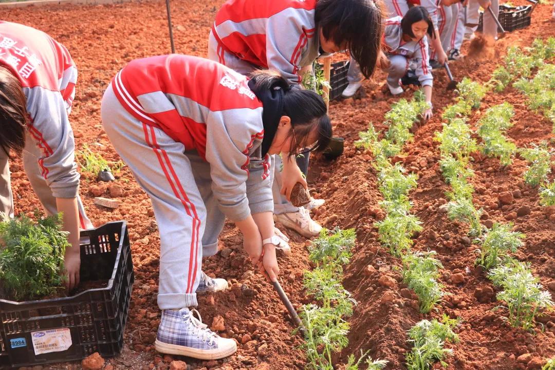 植树节 | 春风十里，正“植”有你