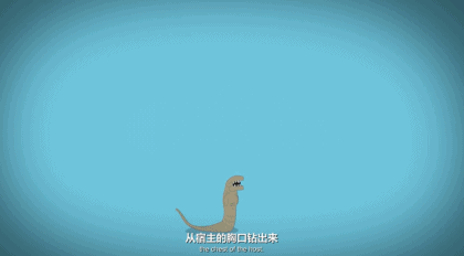 3分钟，看透全宇宙最著名的外星人