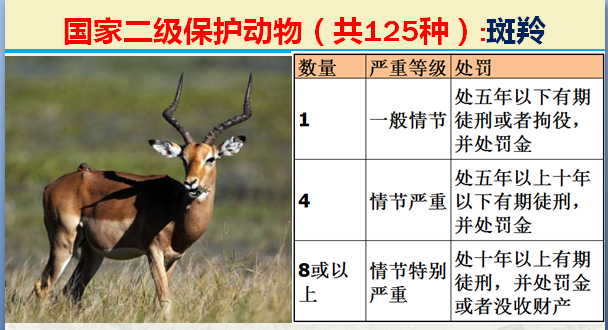 国家最新125类二级野生保护名录，图片及违法对应刑责