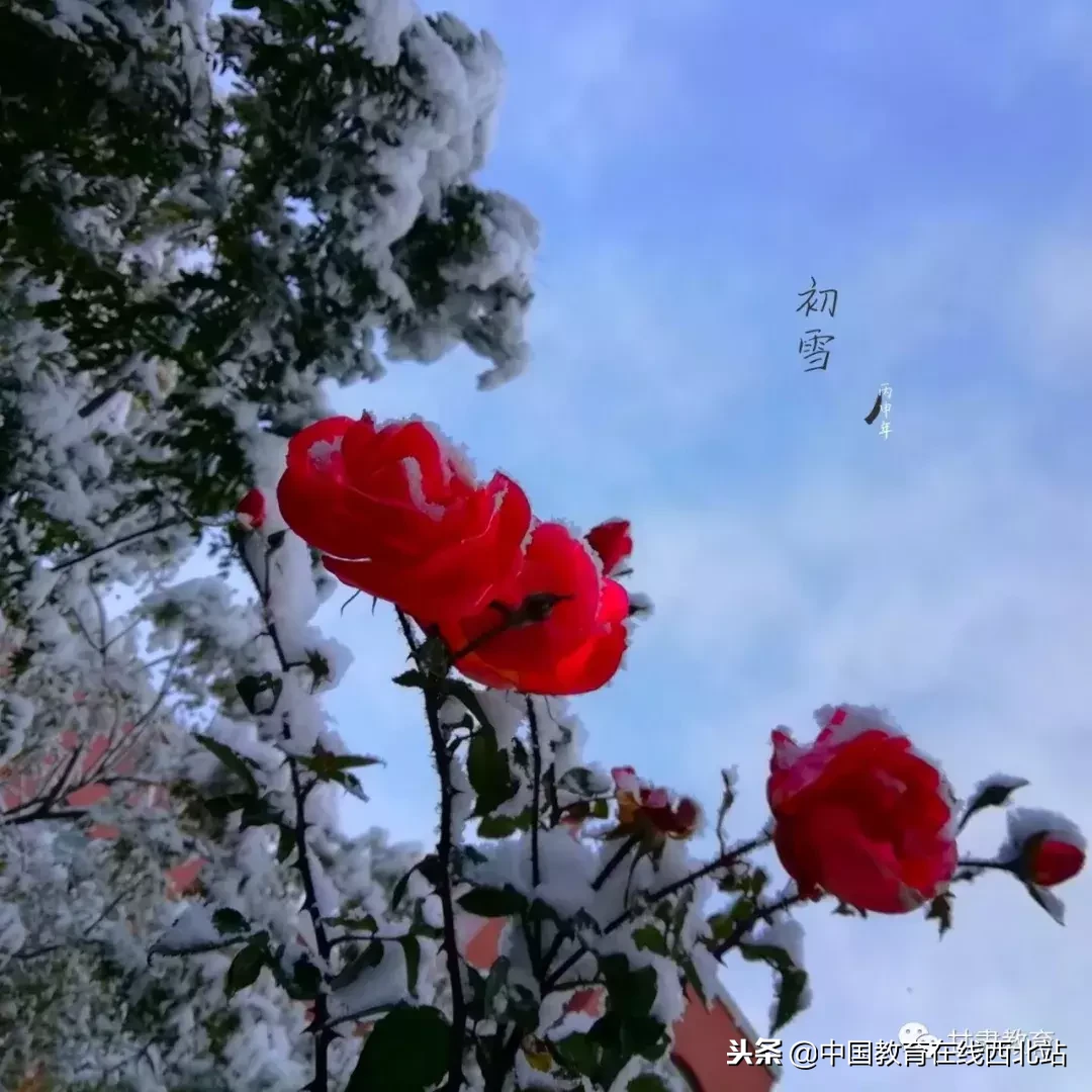 甘肃初雪|甘肃18所高校初学雪景大PK,快来看看有你的母校没?