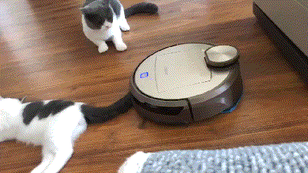 掃地機器人，人工智能還是人工“智障”？