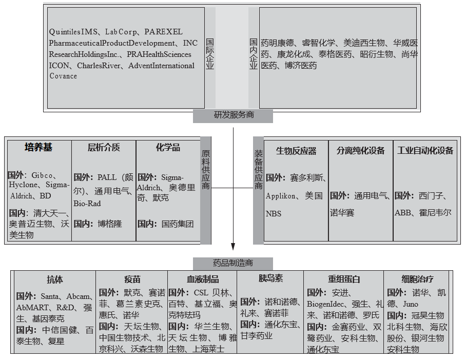 正略咨询：上帝的妙手—生物医药