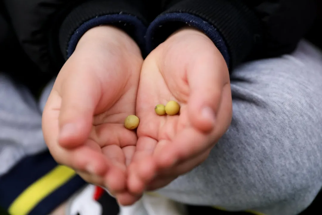 “我们”有一块地这就播种去丨天府新区元音小学劳动实践基地启动