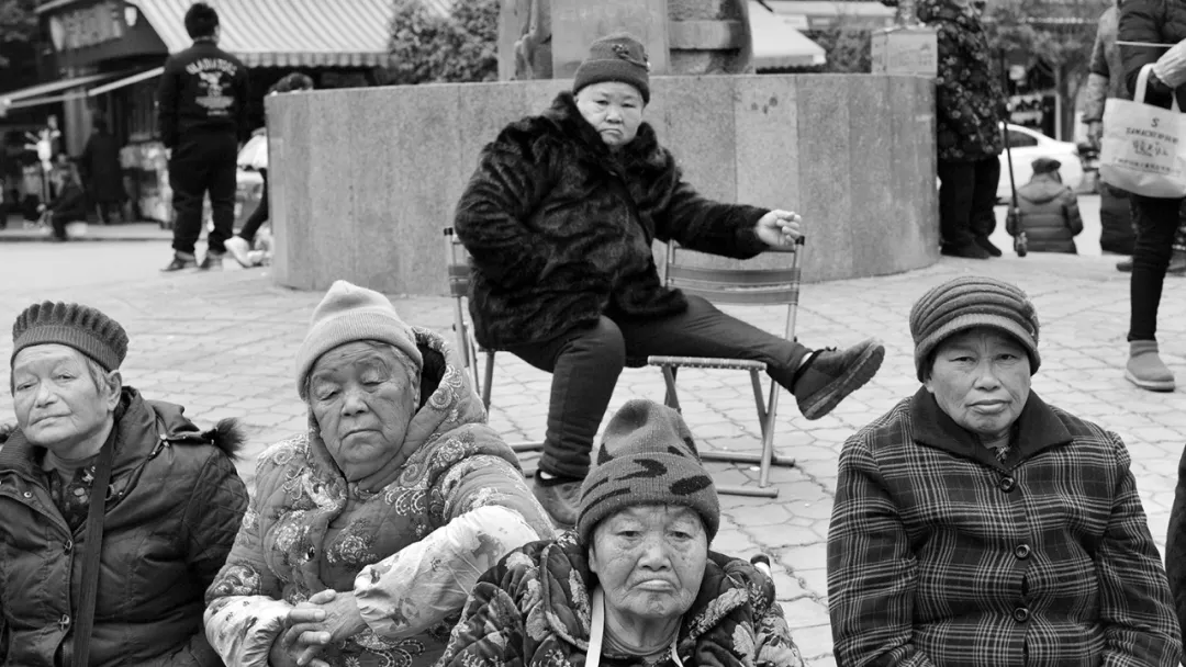 津门网王少梅:两岸-李渡码头