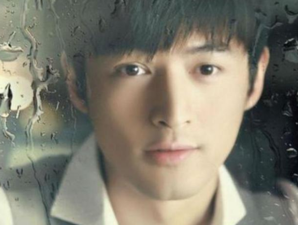 她是胡歌一生的痛，为救胡歌不幸离世，胡歌以她之名建30所学校