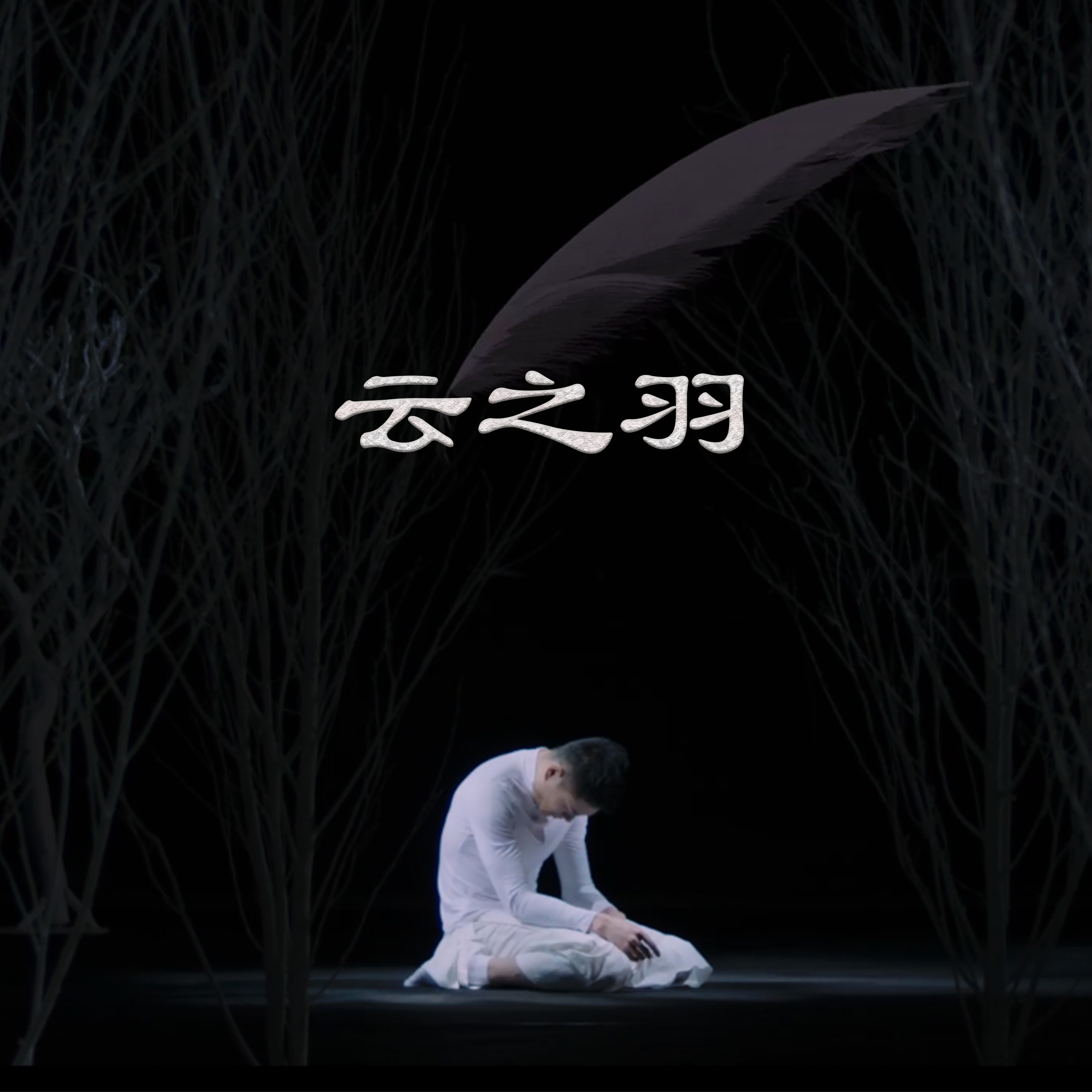 春夏秋冬四季轮转 歌曲《云之羽》温暖上线