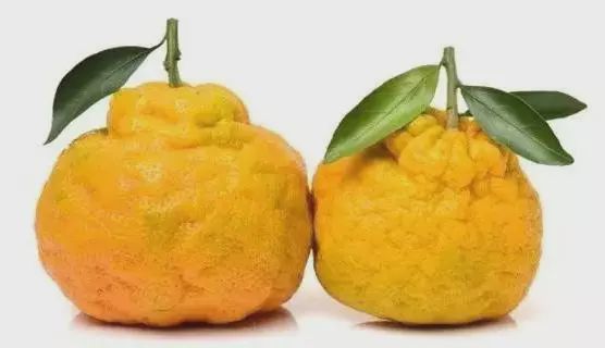 罕见的30种水果，大部分你都没见过