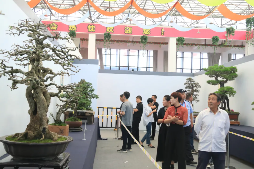 江苏沭阳：国庆时期花木买卖额达8.2亿元