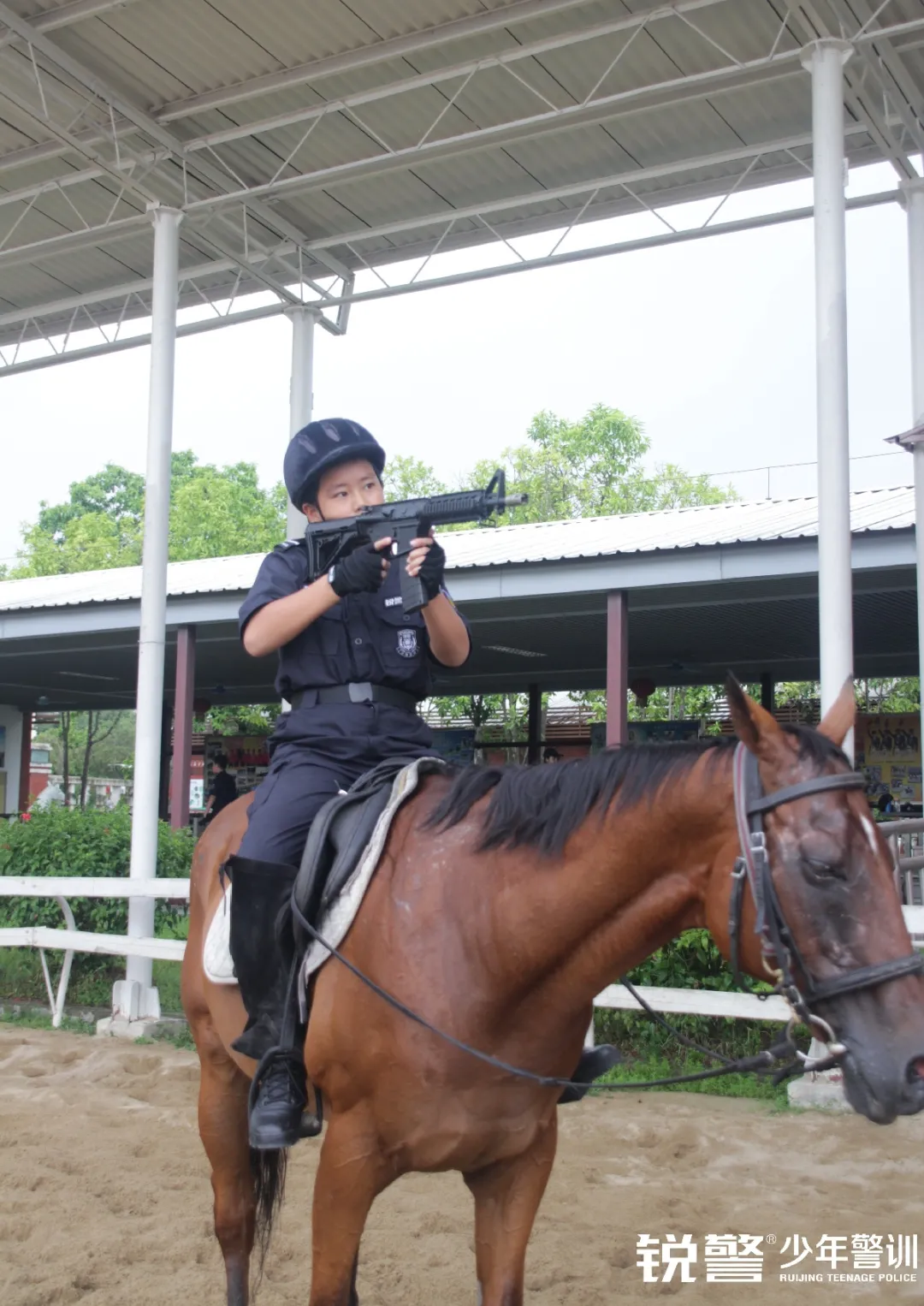 锐警少年警训夏令营：雏鹰新飞，温室小花蜕变之旅，成长的力量