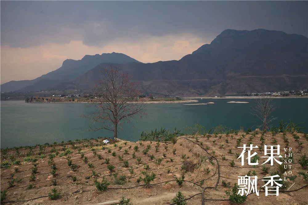 一位浙江老板的农业投资理念：如果挣不到钱，都是白搭