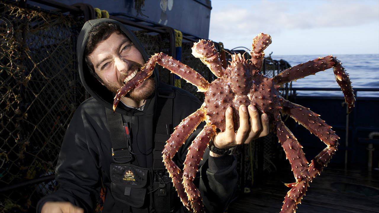 Σְҵ˹Ӳз564Ϊûʲôȥ