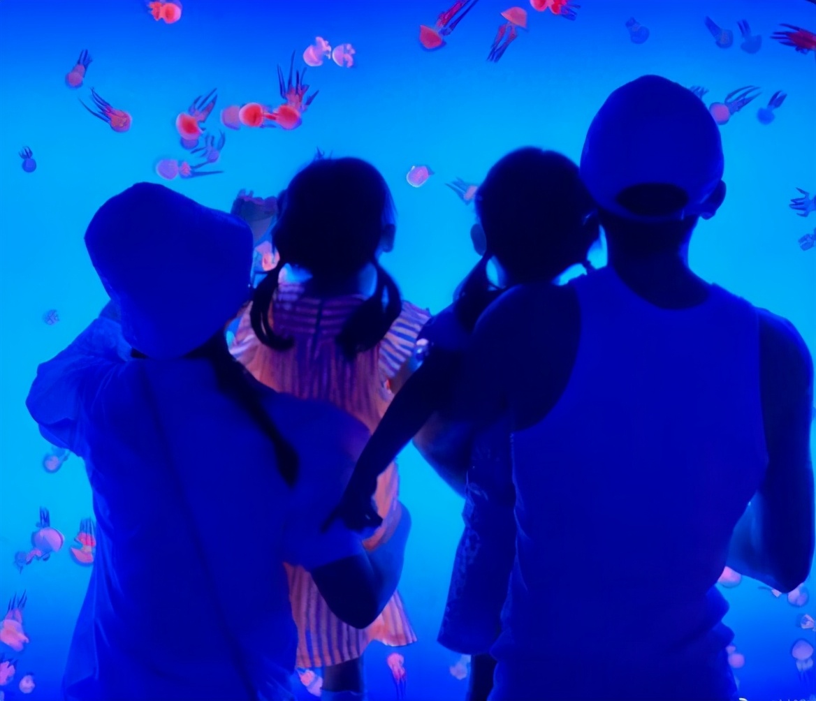 謝娜預產期將至，仍挺大肚做家常菜，老公張傑太有口福了