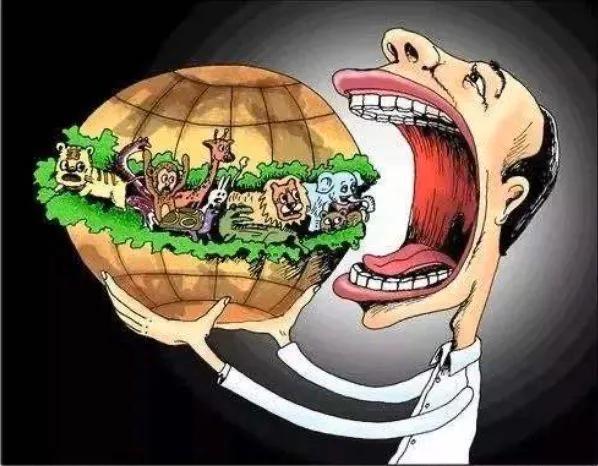 人類為何隻吃食草動物的肉，而很少吃食肉動物？