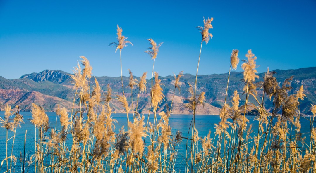 Coming to Lugu Lake will make people wonder if they are willing to forget the time and forget themselves in their dreams