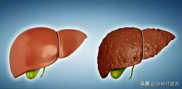 饮酒到底对健康有多大影响?(上)