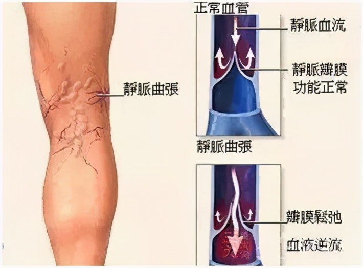 ��·���ò������ȣ���ҽѧ�Ƕȵ�����Ϊ��ɶ��