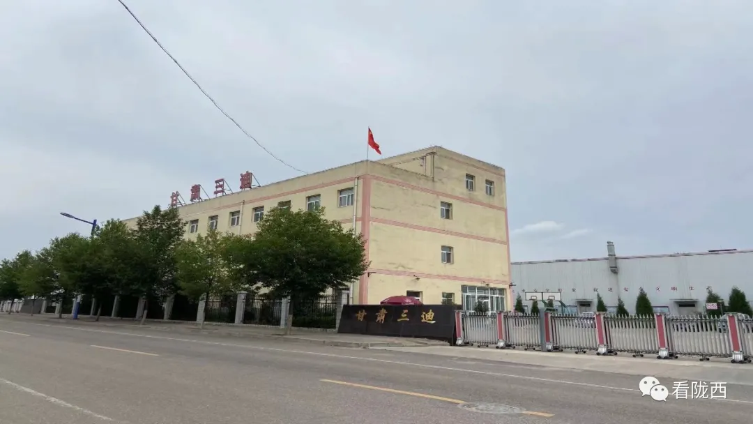 「中医药发展看陇西」甘肃三迪公司：引领陇西中医药走出国门