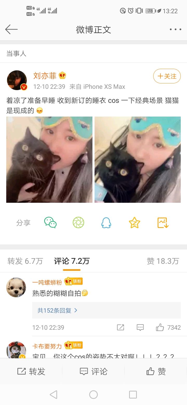 刘亦菲cos奥黛丽赫本 戴同款复古眼罩抱黑猫
