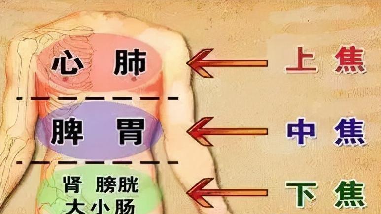 上熱下寒的中藥方子大總結,清上溫下,有效調理,再也不怕用錯藥 - 資訊咖