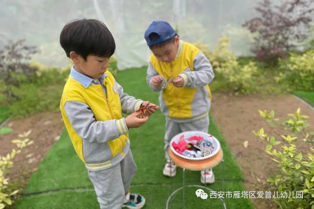 ����عˡ����ն��׶�԰�а�����ѧ��ʵ�߽���δ��